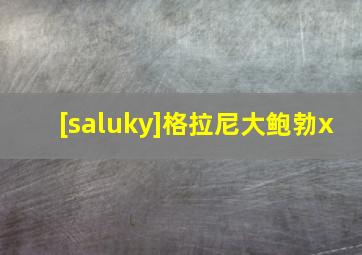 [saluky]格拉尼大鲍勃x